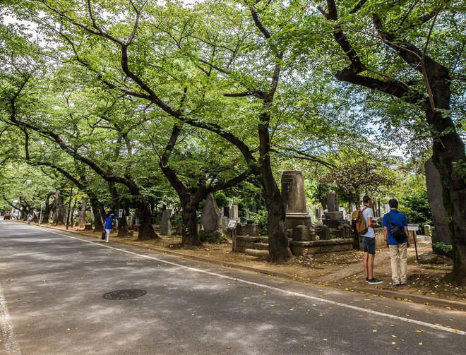 Hình thức mai táng dưới gốc cây đang trở nên phổ biến ở Nhật ảnh 1