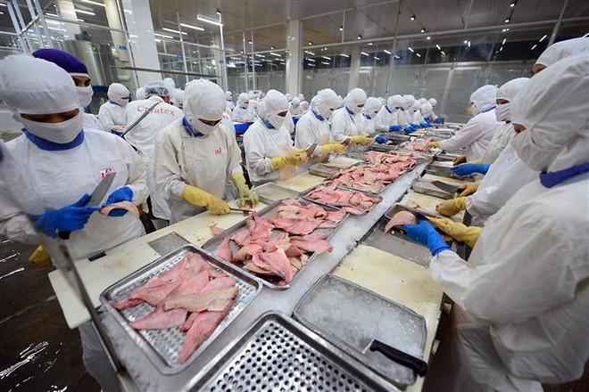 Sáu tháng đầu năm 2021, khu vực nông, lâm nghiệp và thủy sản tăng 3,82% so với cùng kỳ năm trước. (Ảnh: Phan Tuấn Anh/TTXVN) Kinh tế Việt Nam trong 6 tháng: Vững vàng với 'mục tiêu kép' ảnh 1