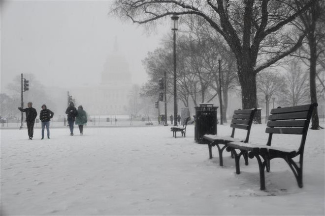 Tuyết phủ trắng xóa tại Washington D.C., Mỹ, ngày 20/2/2019. (Nguồn: THX/TTXVN) Bão tuyết đe dọa kỳ nghỉ lễ Phục Sinh của hàng triệu người dân Mỹ ảnh 1