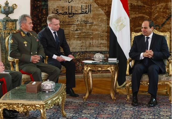 Ai Cập, Nga nhấn mạnh giải pháp chính trị cho khủng hoảng khu vực ảnh 1