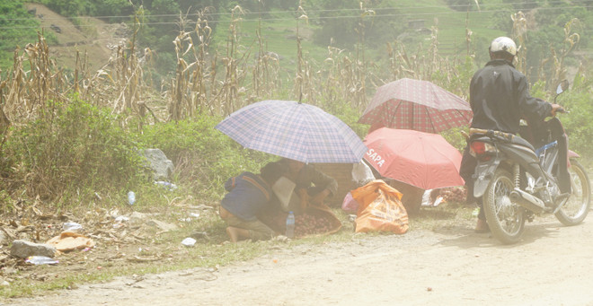[Photo] Huyết mạch 4D Lào Cai-Sa Pa "trọng thương" sau bão số 2 ảnh 9