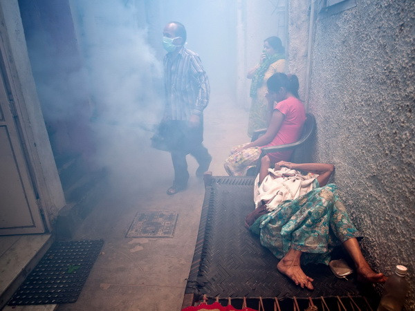 Vắcxin phòng sốt xuất huyết có thể ra mắt vào năm 2015 ảnh 1