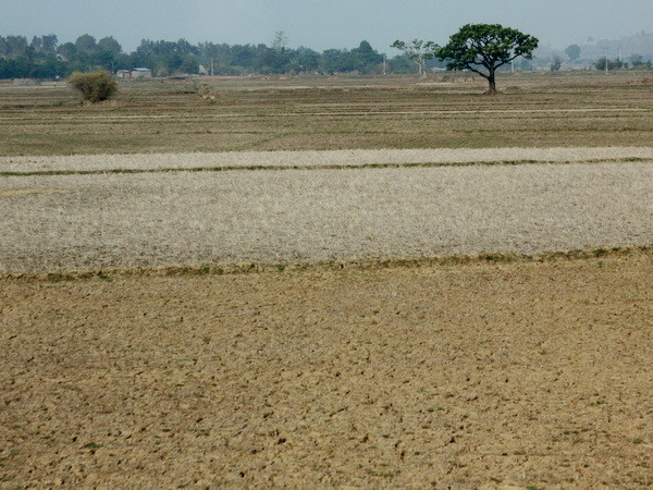 Bình Định thiếu nước sản xuất, sinh hoạt trên diện rộng ảnh 1