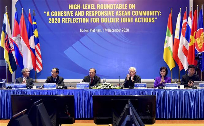 'Việt Nam đã dẫn dắt ASEAN đi đúng hướng trong năm 2020' ảnh 1