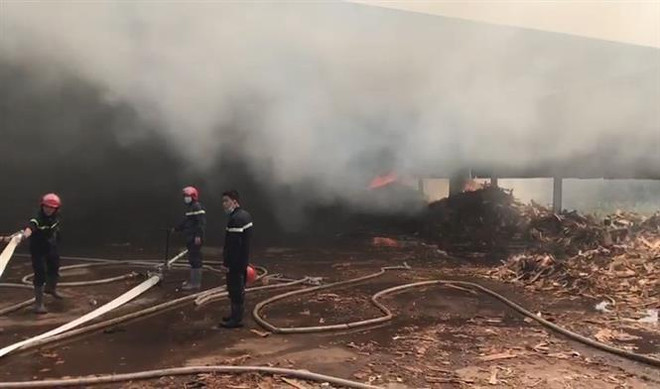 Bình Dương: Hỏa hoạn thiêu rụi kho mùn cưa 300m2 của công ty gỗ ảnh 1