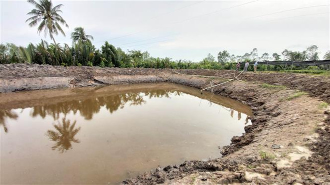 Bến Tre trích 38,5 tỷ đồng hỗ trợ người dân bị thiệt hại bởi hạn mặn ảnh 1