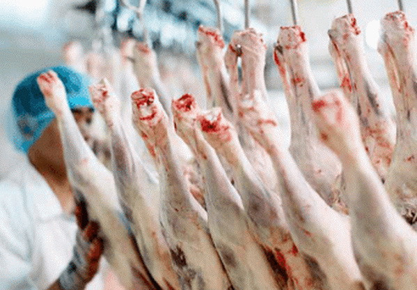 Trung Quốc cấm nhập thịt cừu của hai cơ sở chế biến lớn nhất Australia ảnh 1