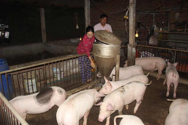 Nông nghiệp chuyển dịch mạnh mẽ từ sản xuất tới thị trường ảnh 2