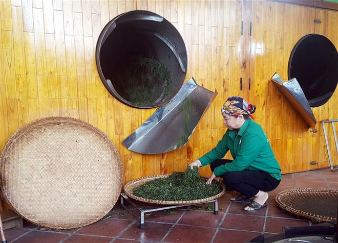 Du lịch cộng đồng ở vùng 'đệ nhất danh trà' của Thái Nguyên ảnh 2