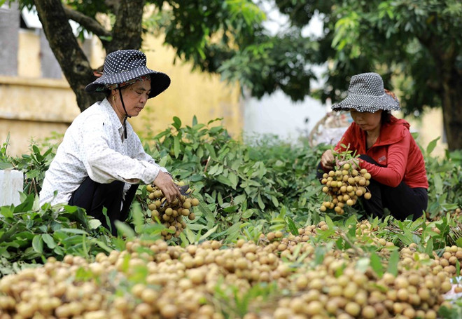 Hình thành hệ sinh thái xúc tiến thương mại mới phù hợp kinh tế số ảnh 1