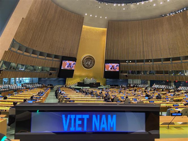 'Việt Nam hoàn thành tốt trách nhiệm tại Hội đồng Bảo an năm 2020' ảnh 2