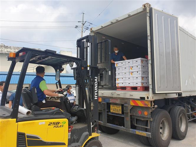 Xuất khẩu của Hàn Quốc phục hồi nhanh chóng bất chấp dịch COVID-19 ảnh 1