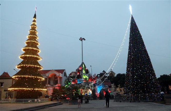 Rực rỡ sắc màu không khí Giáng sinh tại xứ đạo Nam Định ảnh 1