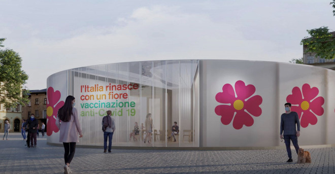 Italy: Hoa anh thảo là biểu tượng của chiến dịch tiêm vắcxin COVID-19 ảnh 1