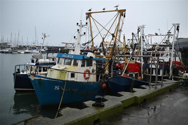 Liên minh châu Âu cân nhắc đề xuất mới của Anh về quyền đánh bắt cá ảnh 1