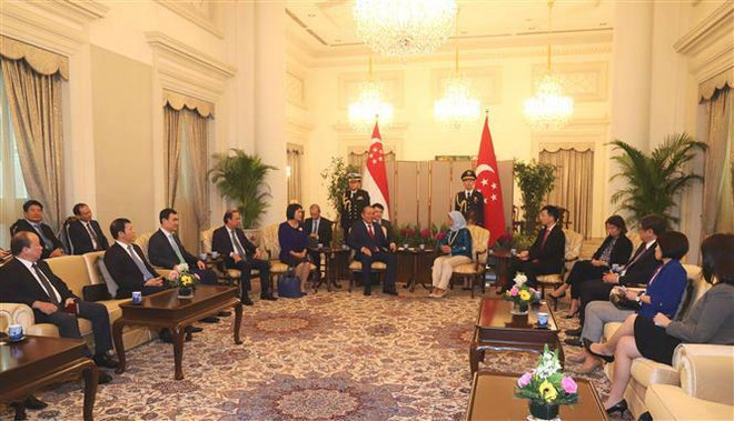Hợp tác thương mại, đầu tư là điểm sáng của quan hệ Việt Nam-Singapore ảnh 1