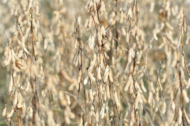 Quan hệ song phương Mỹ-Trung đang trong giai đoạn 'tan băng'? ảnh 1