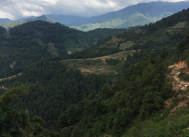 Nghiên cứu, giải mã các khối đá khắc cổ mới phát hiện tại Mù Cang Chải ảnh 2