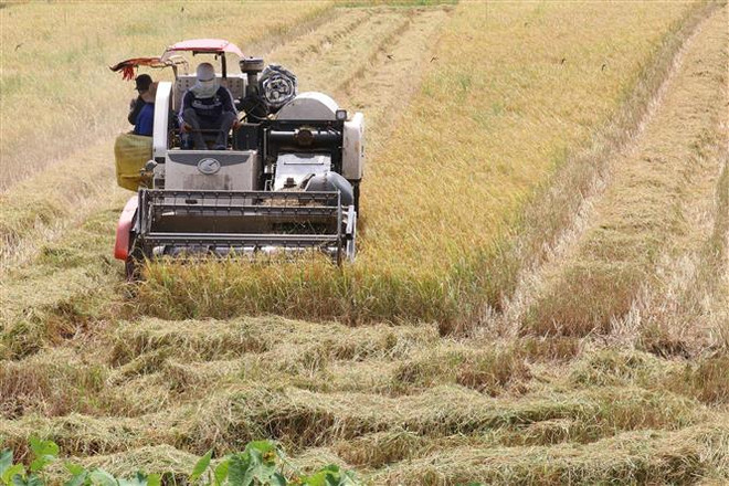 Cơ giới hóa đồng bộ để gia tăng giá trị sản xuất nông nghiệp ảnh 1