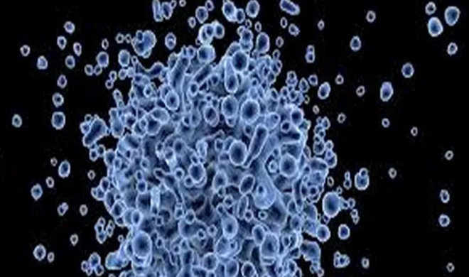 Tìm ra phương pháp điều trị tiềm năng cho các bệnh nhân nhiễm HPV ảnh 1