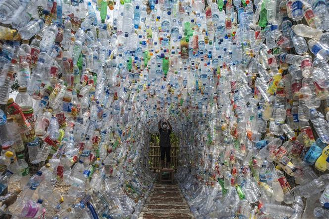 Bảo vệ môi trường: Nhiệm vụ nặng nề của COP27 tại Ai Cập ảnh 1