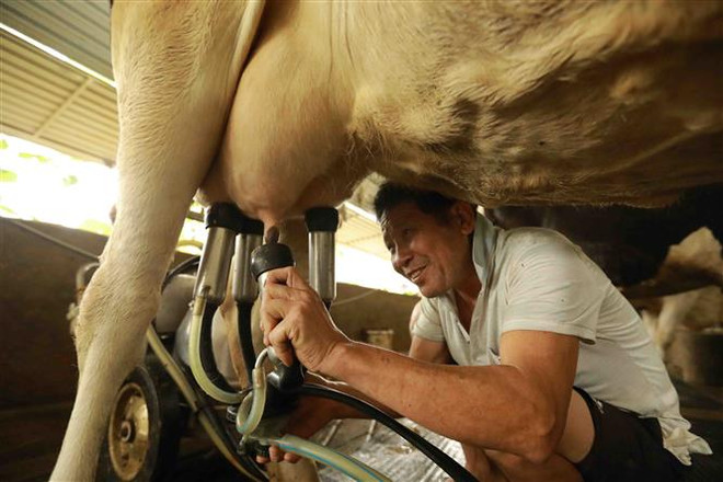 Hợp tác công tư sẽ tạo đột phá trong nông nghiệp công nghệ cao ảnh 1