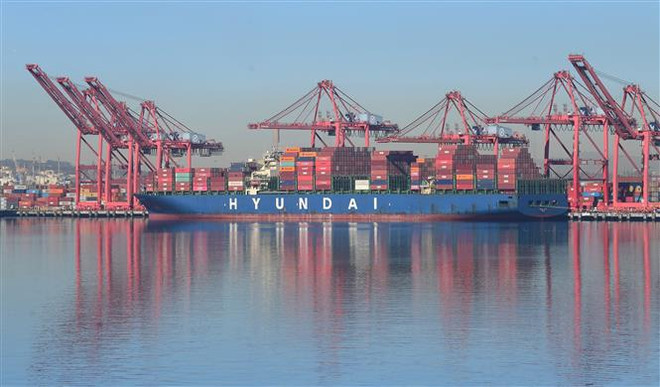 Quang cảnh cảng container Long Beach, Mỹ. (Ảnh: AFP/TTXVN) Quan chức cấp cao của Fed dự báo Mỹ sẽ tránh được suy thoái kinh tế ảnh 1