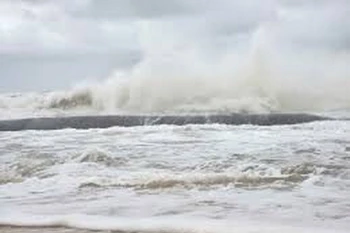 (Ảnh minh họa. TTXVN phát)