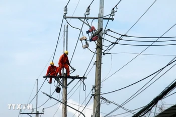 Nâng cấp, sửa chữa lưới điện ở An Giang. (Ảnh: Lê Huy Hải/TTXVN)