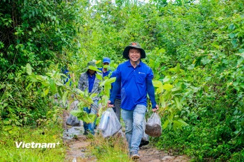 Các tình nguyện viên tham gia trồng rừng tại vùng đệm Vườn Quốc gia Tà Đùng. (Ảnh: Hưng Thịnh/Vietnam+)