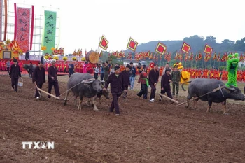 Các đại biểu thực hiện những sá cày tại lễ hội. (Ảnh: Thanh Tuấn/TTXVN)