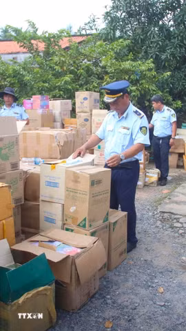 Lực lượng quản lý thị trường tỉnh Tây Ninh kiểm tra kho hàng tại hộ kinh doanh B.N. (ấp Bà Phổ, xã Thủ Thừa, tỉnh Tây Ninh) nghi giả mạo nhãn hiệu, không rõ nguồn gốc. (Ảnh: Minh Phú/TTXVN)