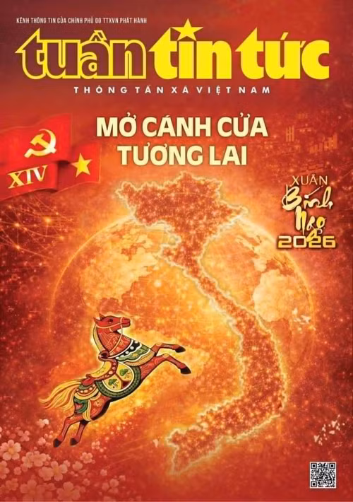 s3.jpg