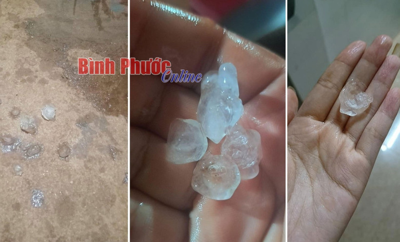 Một số hình ảnh người dân cung cấp về mưa đá và đăng tải trên mạng xã hội. (Nguồn: Báo Bình Phước)