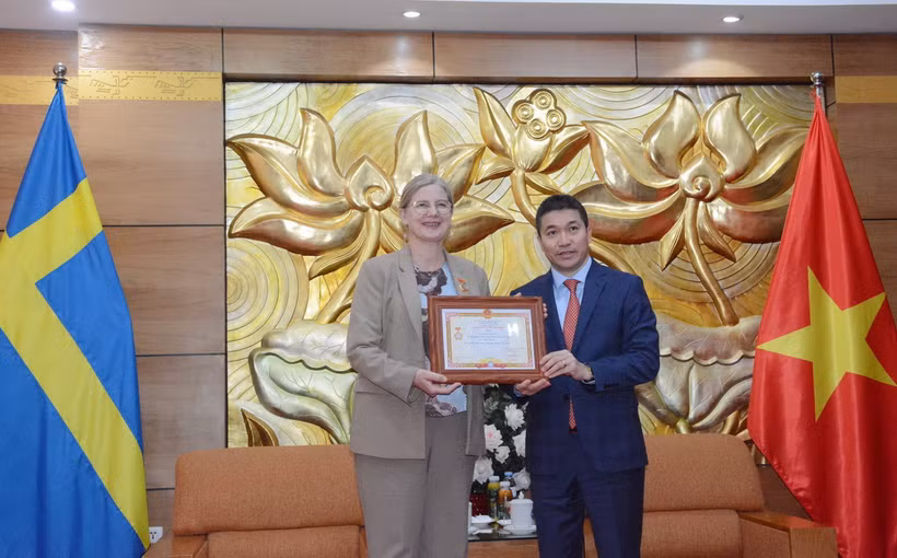 Chủ tịch Liên hiệp các tổ chức hữu nghị Việt Nam Phan Anh Sơn trao Kỷ niệm chương “Vì hòa bình, hữu nghị giữa các dân tộc” tặng Đại sứ Thụy Điển tại Việt Nam Ann Mawe. (Ảnh: CTV/Vietnam+)