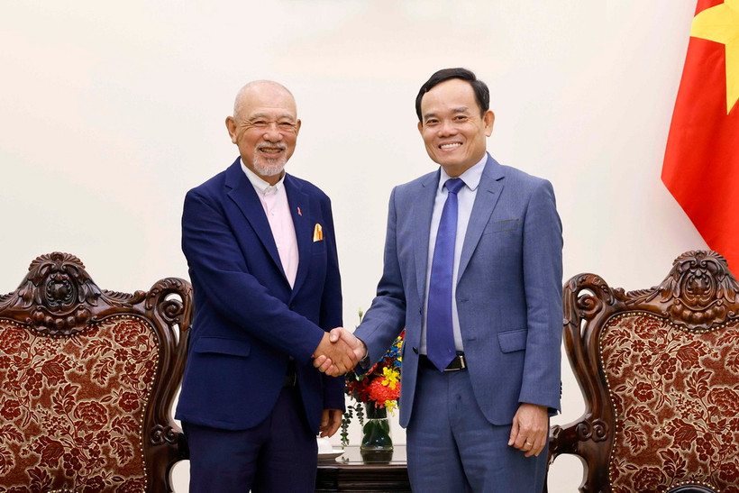 Phó Thủ tướng Trần Lưu Quang và ông Yohei Sasakawa, Chủ tịch Quỹ Nippon của Nhật Bản, Chủ tịch danh dự Quỹ Hòa bình Sasakawa. (Ảnh: Doãn Tấn/TTXVN)