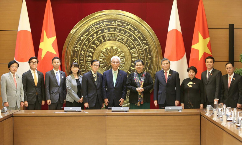 Phó Chủ tịch Thường trực Quốc hội Tòng Thị Phóng và Phó Chủ tịch Thượng viện Nhật Bản Ogawa Toshio cùng thành viên đoàn hai nước chụp ảnh chung. (Ảnh: Dương Giang /TTXVN)