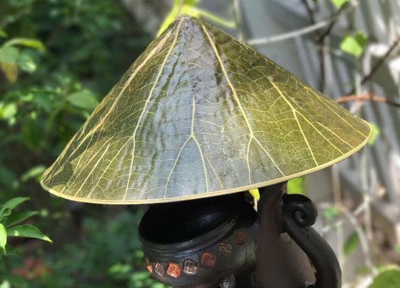 Sản phẩm "nón lá sen" của Nguyễn Thanh Thảo sẽ được trưng bày tại Festival Nghề truyền thống Huế năm 2019. (Ảnh: Quốc Việt/TTXVN)