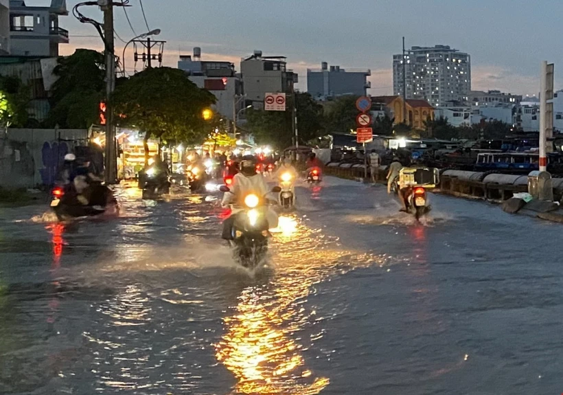 (Ảnh minh họa: Hồng Giang/TTXVN)