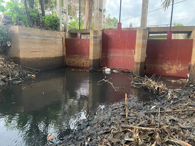 Nước xả thải của Công ty TNHH Kbec Vina xả ra suối Giao Kèo, thị xã Phú Mỹ vào ngày 30/5. (Ảnh: Hoàng Nhị/TTXVN)