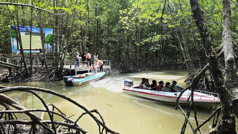 Du khách tham quan, trải nghiệm sản phẩm du lịch xuyên rừng tại Mũi Cà Mau. (Ảnh: Kim Há/TTXVN)