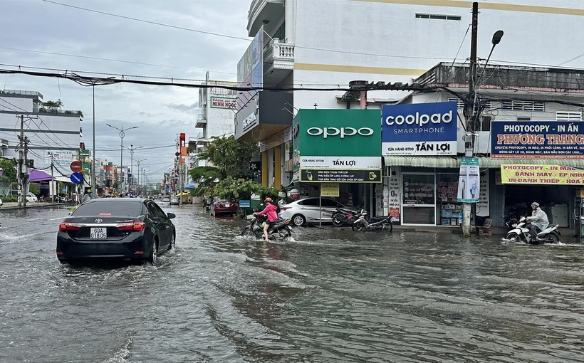 Mưa lớn kết hợp với triều cường dâng cao đã làm ảnh hưởng lớn đến đời sống, sản xuất của người dân ở Cà Mau. (Ảnh: Huỳnh Anh/TTXVN)