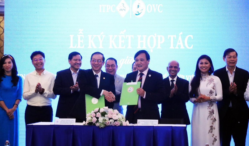 Ông Phùng Công Dũng, Chủ nhiệm Ủy ban Người Việt Nam ở nước ngoài Thành phố Hồ Chí Minh và ông Phạm Thiết Hòa, Giám đốc Trung tâm Xúc tiến Thương mại và Đầu tư Thành phố Hồ Chí Minh (ITPC) ký kết hợp tác. (Ảnh: Xuân Khu/TTXVN)