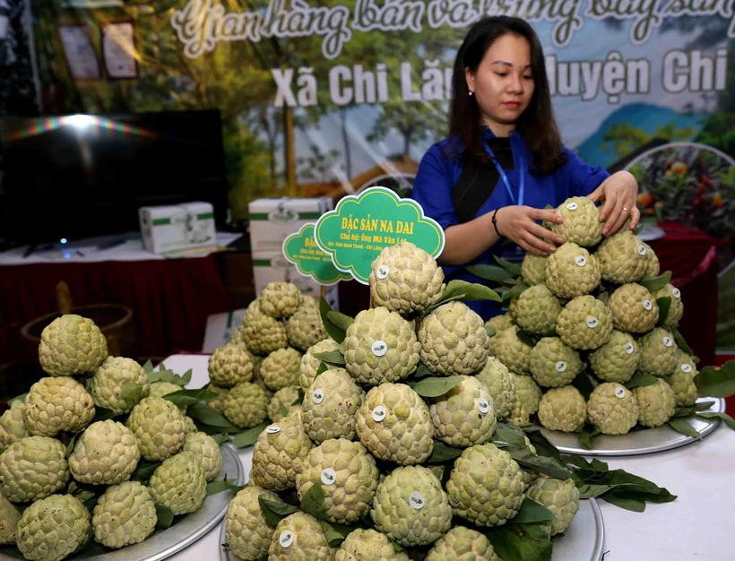 Sản phẩm na của xã Chi Lăng. (Ảnh: Vũ Sinh/TTXVN)
