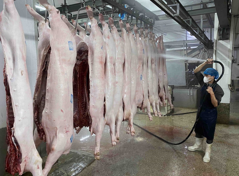 Làm sạch thịt lợn trước khi đưa vào chế biến tại nhà máy của Công ty Cổ phần Công nghệ thực phẩm Vinh Anh (huyện Thường Tín, Hà Nội). (Ảnh: Vũ Sinh/TTXVN)
