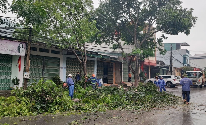 Công nhân Công ty Cổ phần Môi trường Đô thị tỉnh Lào Cai cắt dọn cây xanh bị gãy đổ do mưa dông để đảm bảo an toàn giao thông. (Ảnh: Quốc Khánh/TTXVN)