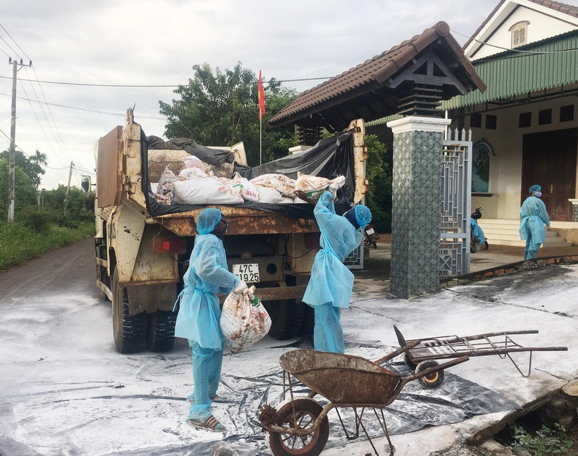 Lực lượng chức năng vận chuyển gia cầm bị bệnh tại xã Ea Kao, thành phố Buôn Ma Thuột, đi tiêu hủy. (Ảnh: Tuấn Anh/TTXVN)