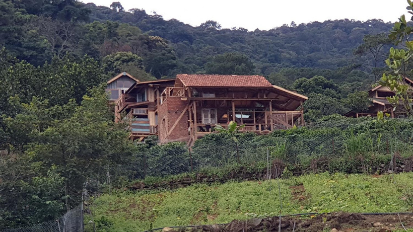 Các ngôi nhà gỗ vẫn đang được xây dựng trái phép trên đất rừng. (Ảnh: Nguyễn Dũng- Quốc Hùng/TTXVN)