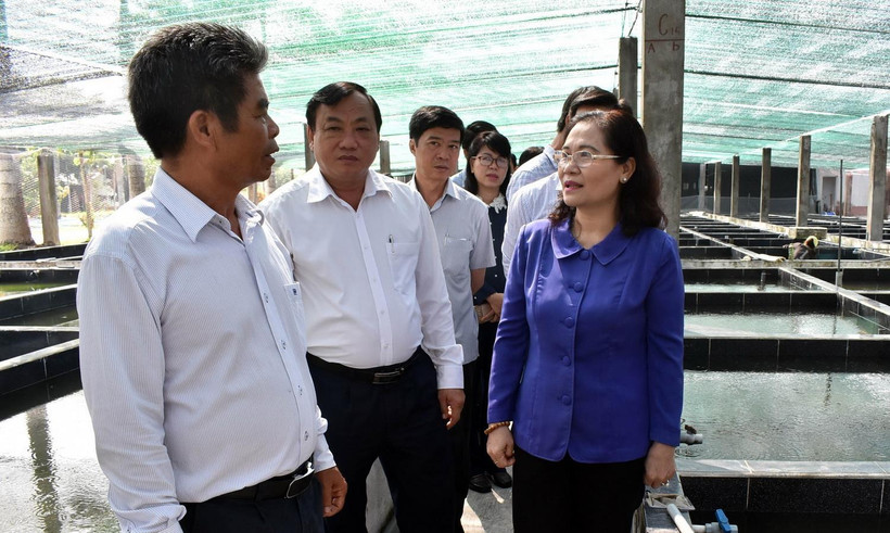 Bà Nguyễn Thị Lệ, Chủ tịch HĐND Thành phố Hồ Chí Minh nghe ông Nguyễn Văn Thủy, chủ trại cá cảnh ở Tổ 7, ấp Cây Trôm, xã Phước Hiệp, huyện Củ Chi báo cáo về tình hình sản xuất, kinh doanh. (Ảnh: Xuân Khu/TTXVN)