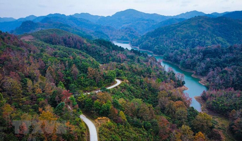 Ảnh minh họa (Ảnh: TTXVN phát)